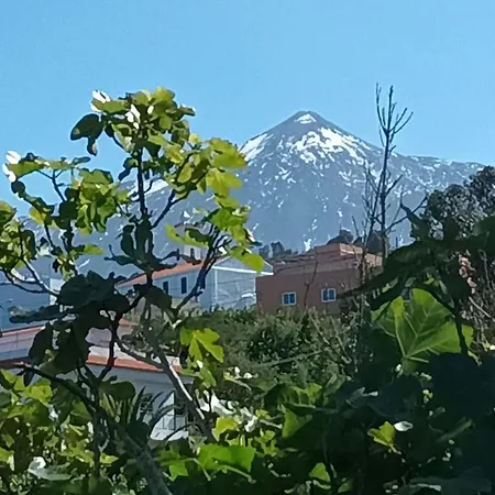 Teneriffa + Tide Blick Icod Vinos La Vega Apartment *